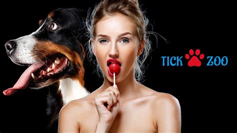 tickzoo.|forum .